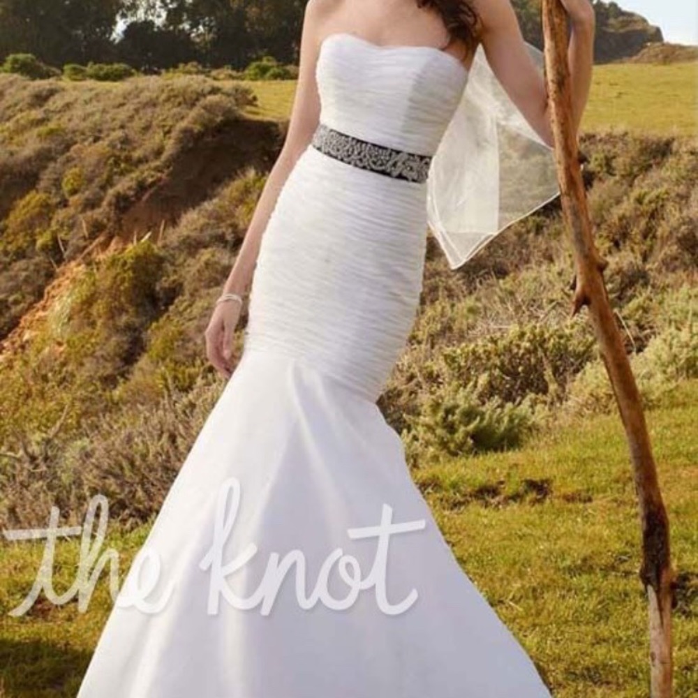 David’s Bridal Mermaid style wedding dress